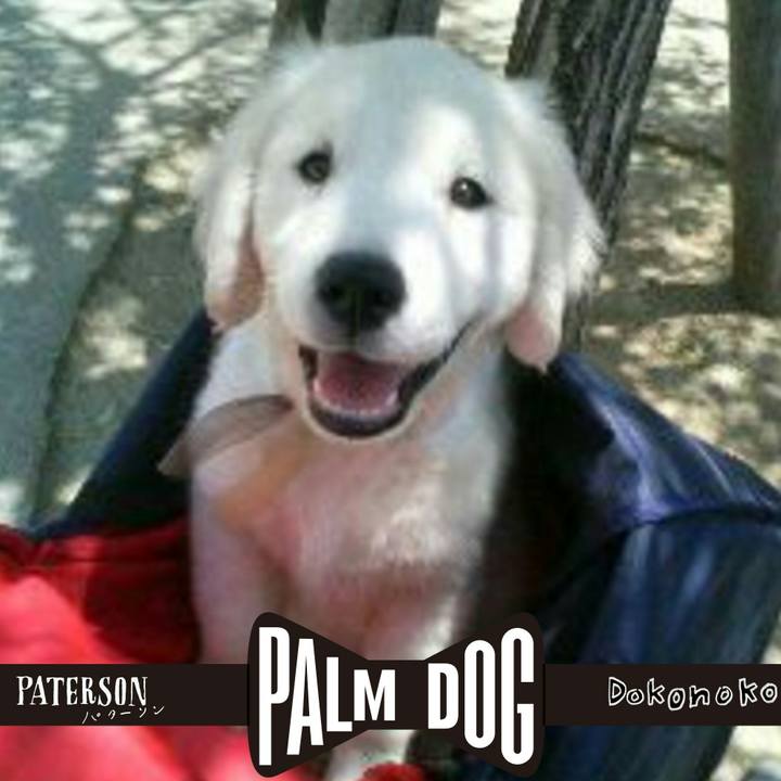 9e0a3e0e a03d 4b94 b4b3 80099705e646