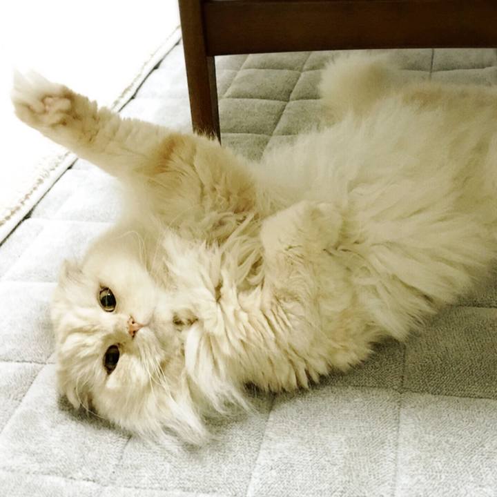 9e0b334c a9a3 432a a8d3 08f590cc71e0