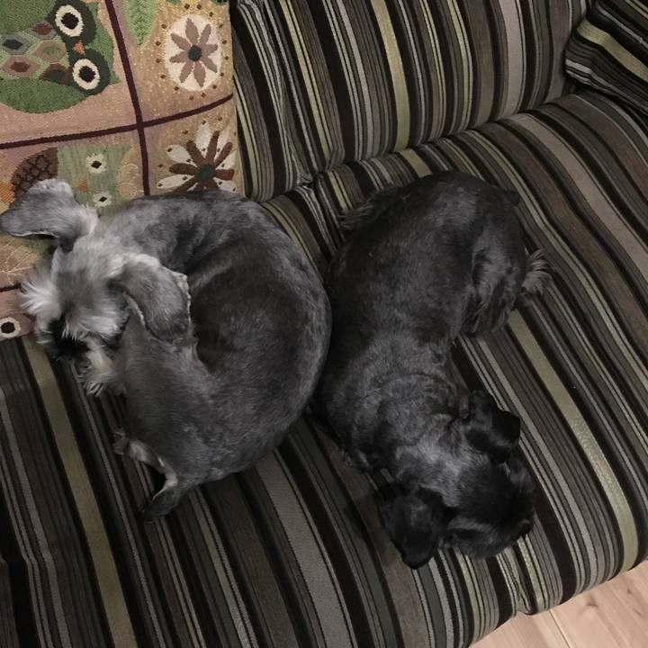 9e0b9fc2 9439 46bb afa3 df944f70637e