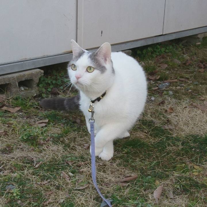 9e0ba41b 5ba6 4849 ae7d dbbb45bfba21