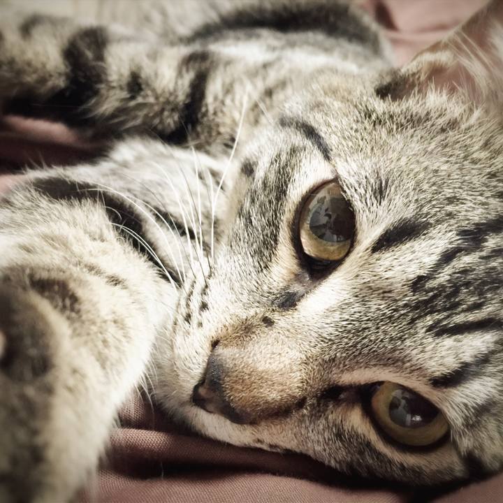 9e0c31b1 03ce 490b ab91 9f1f59c33504