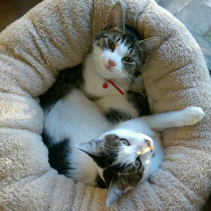 9e0cf5f3 9fa5 4bc5 920b 81bcfb0c13ca