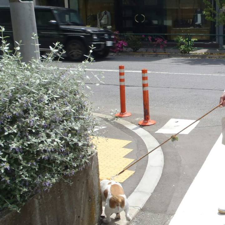 9e0db270 c078 4a94 a93e 7eb85e956ff6