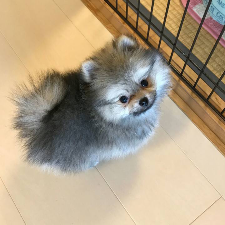 9e0ddcaf 722e 4031 a84c b1dd0c2983f4