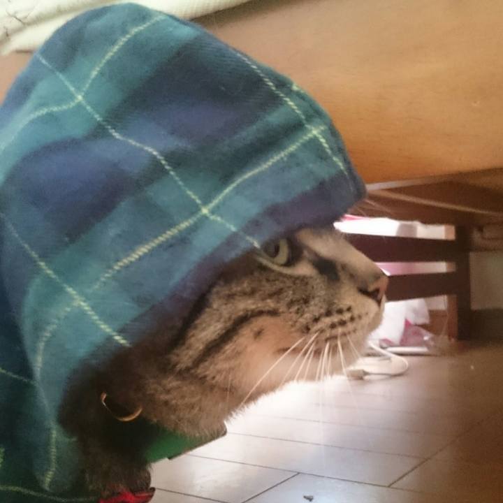 9e0def05 bf0d 4999 849d 83a8d191cadf