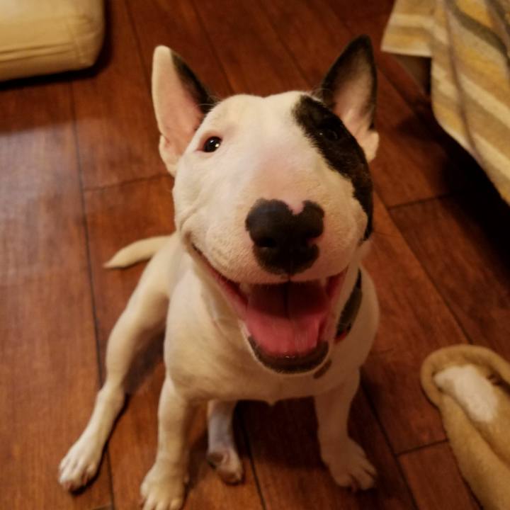 9e0e857c fd55 44d8 ad24 3c74e17a8e3f