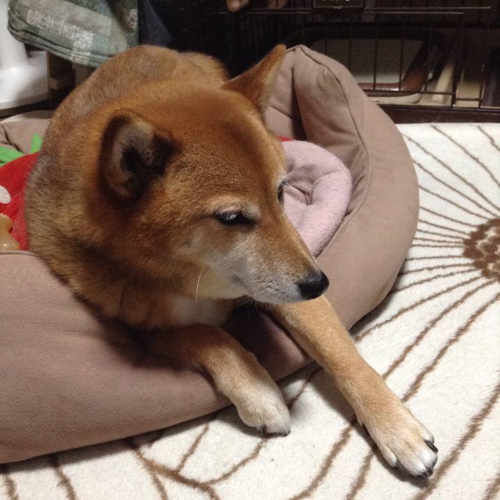 9e0eb137 3299 4685 9565 0ab906451625