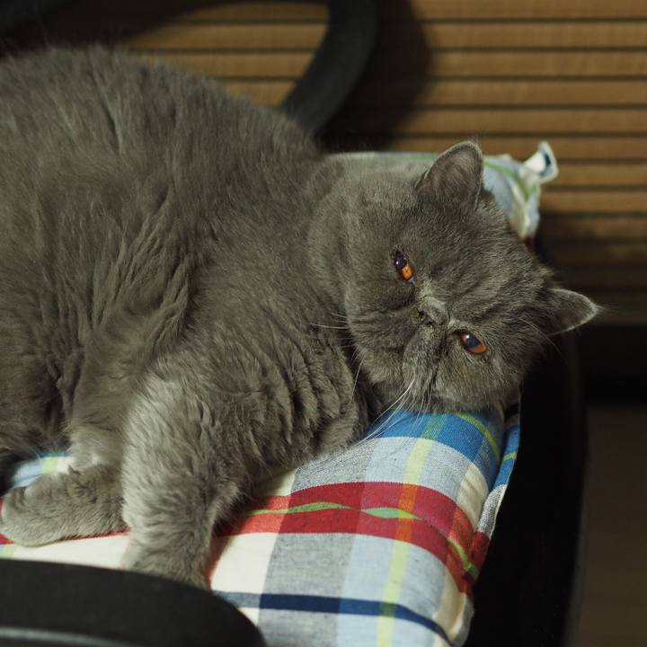 9e0eef77 9504 4da0 848c 6022ac808846