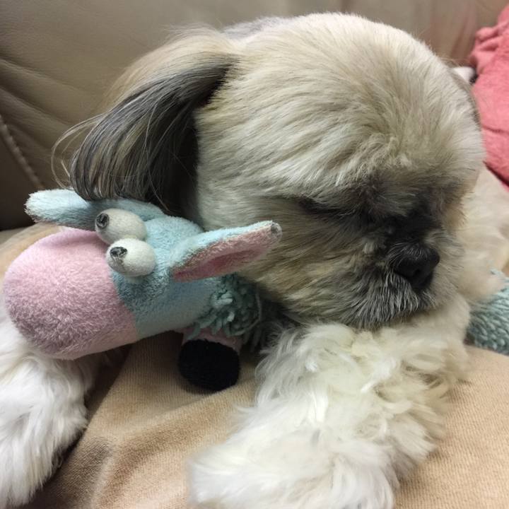 9e0f9915 1cfa 42f4 807b ad729d4d5548