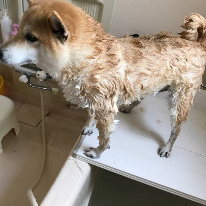 9e0fd37a 6508 42ff 92b5 63494f53882e