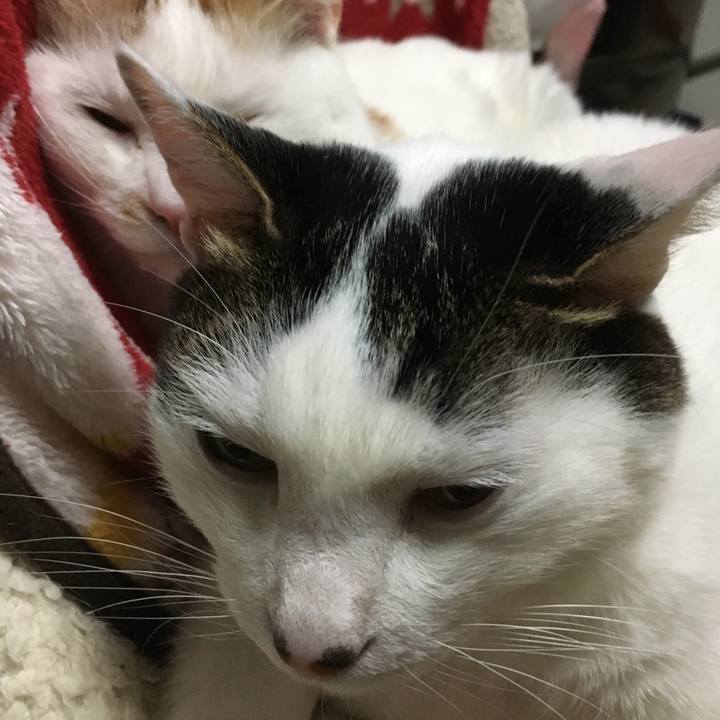 9e0fe888 a5be 4521 a53a d157e527f36e