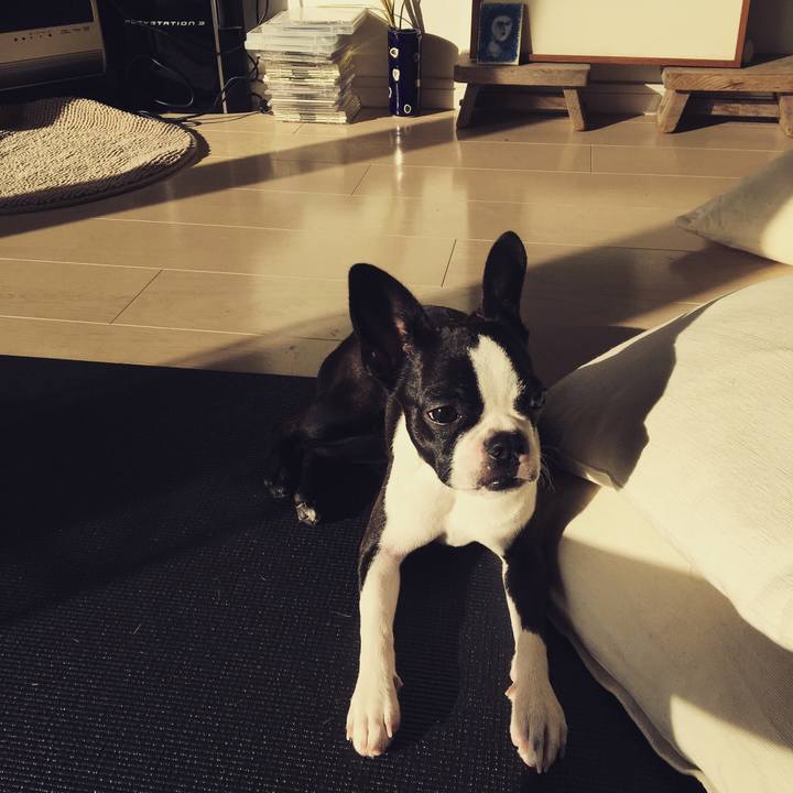 9e10751b 1482 4468 8de3 595220589f5c