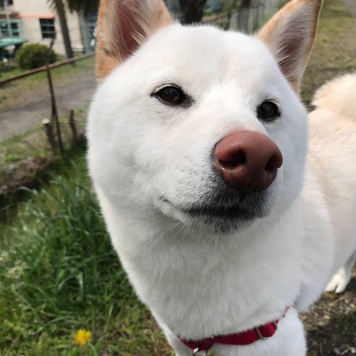 9e108585 42c8 48c8 861b fcada6f7b7b0