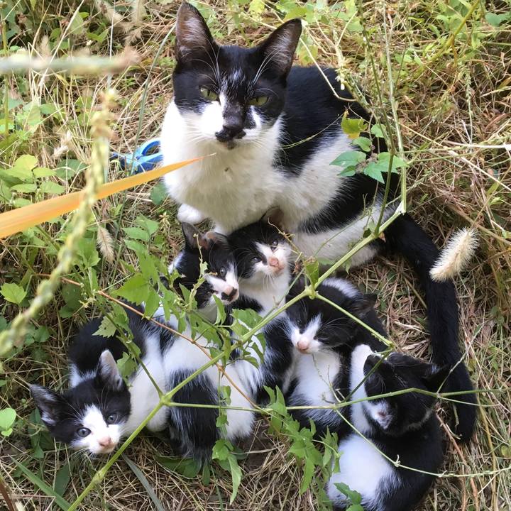 9e10a6ff acab 4e6e 874e 1afa95a94a98