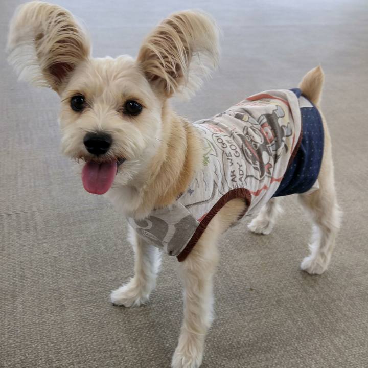 9e111032 3612 4d62 9947 2502a1071403