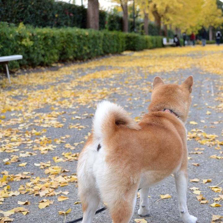 9e12d562 7f25 49a2 aecb 844f63bcd5d8