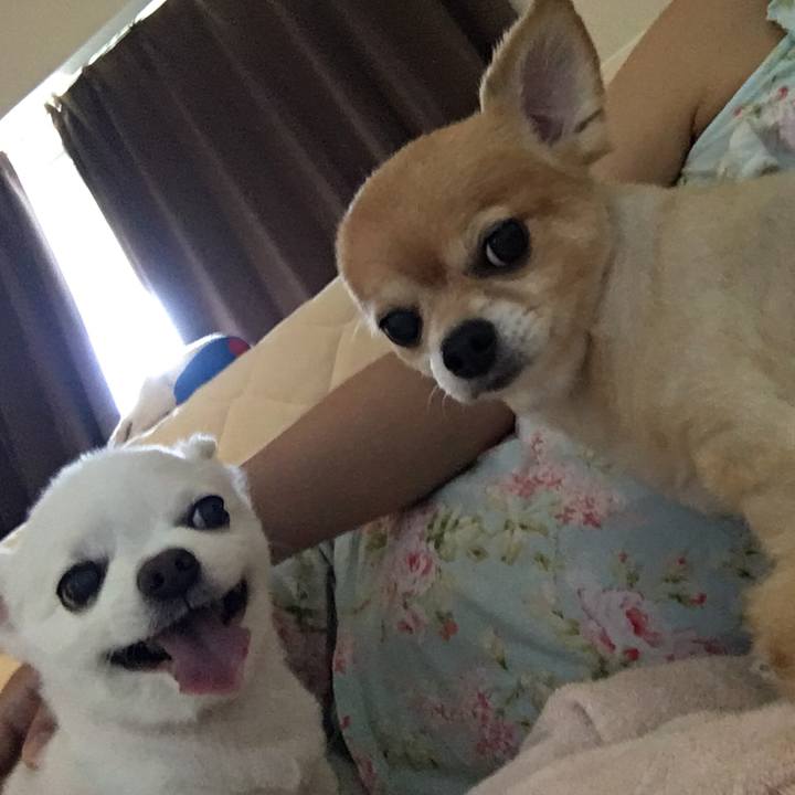 9e13083b 3ba6 45a1 a0a0 32eb0ed45a8b