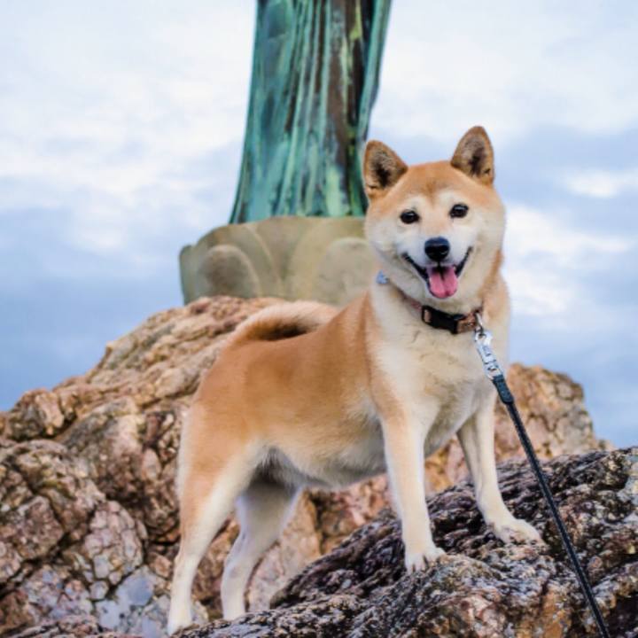 9e135942 1a55 4608 9306 8381ac89a0f1