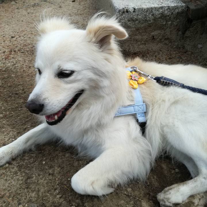 9e13d190 4b1c 42ea b676 d38b09028aa6