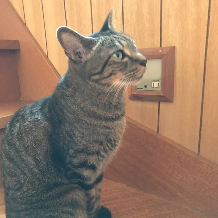 9e144d66 5838 41d7 ae10 d79589265b83