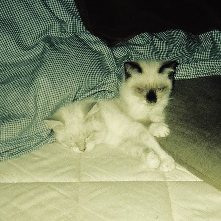 9e14e627 cda1 4dd5 a80e 73db27e9132c