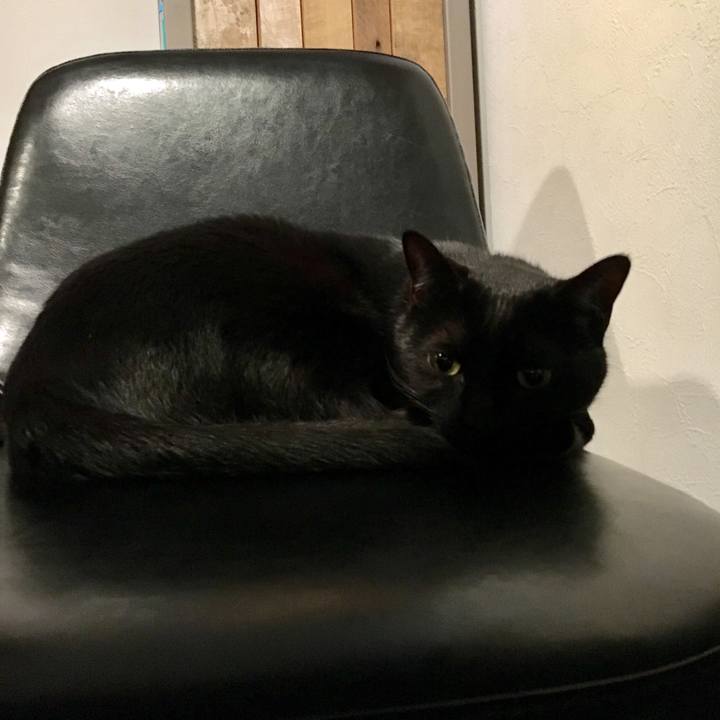 9e151b06 1f52 49ae baa1 a8c376ffa05a