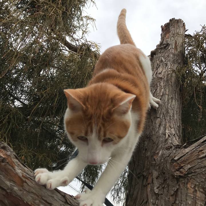 9e155e7c ac6e 435d a7a4 7c40135d57f2