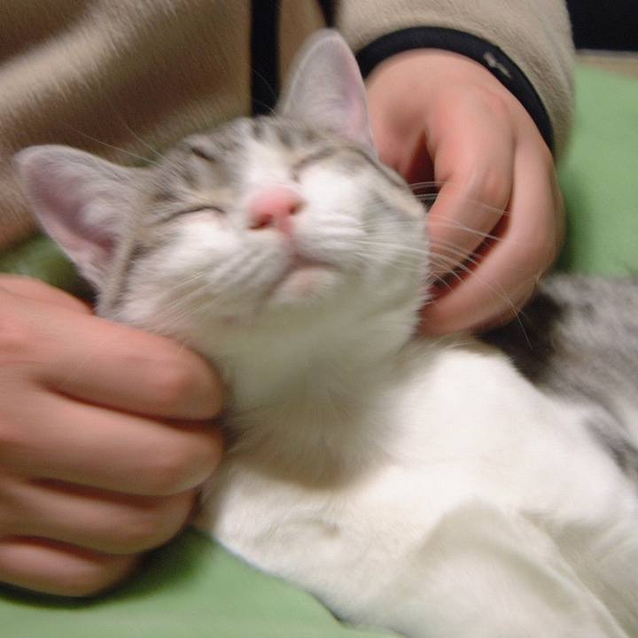 9e157c90 dd6f 4fbc b646 5bfc74ca3932