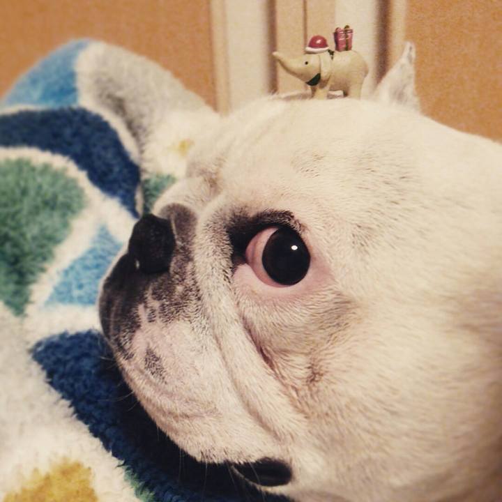 9e1643d0 b947 49bd afd4 b27c96384a6d