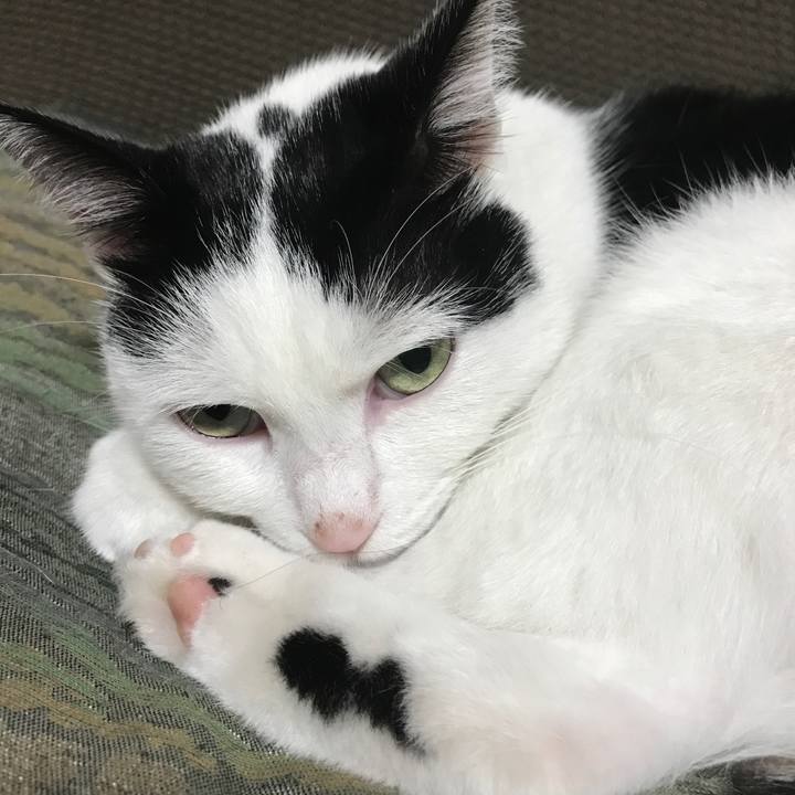 9e168e62 c987 4137 b5d8 3f599c836d06