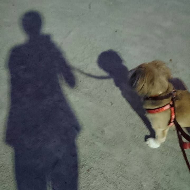 9e175171 de9b 4661 be9f 6a1205fe4ef8