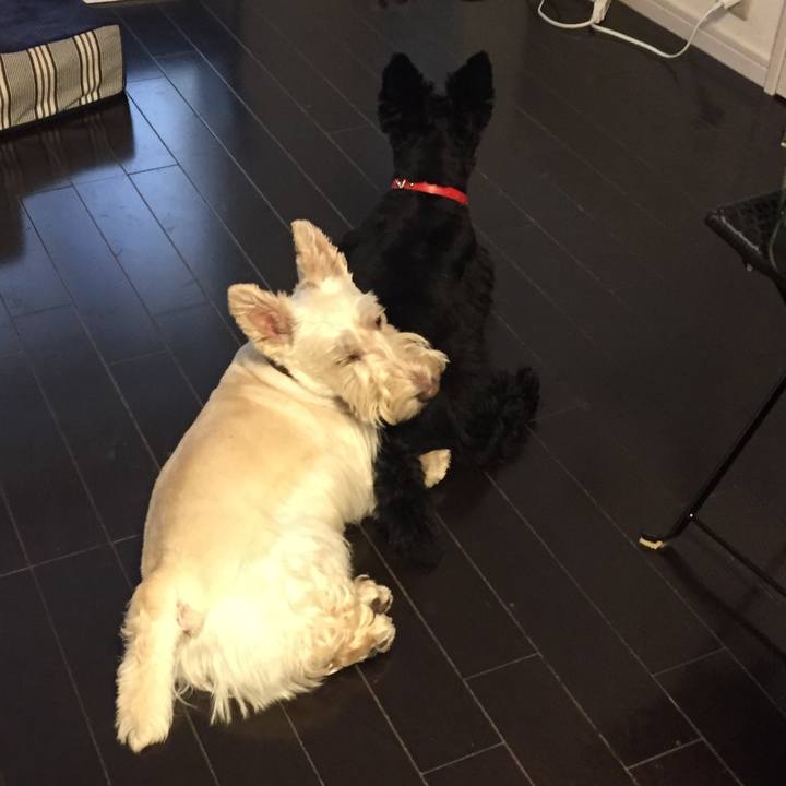 9e181b5f d184 47d5 9364 a521e36169b1