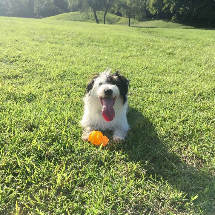 9e184f46 f2d3 41c3 a751 0f9c62444197