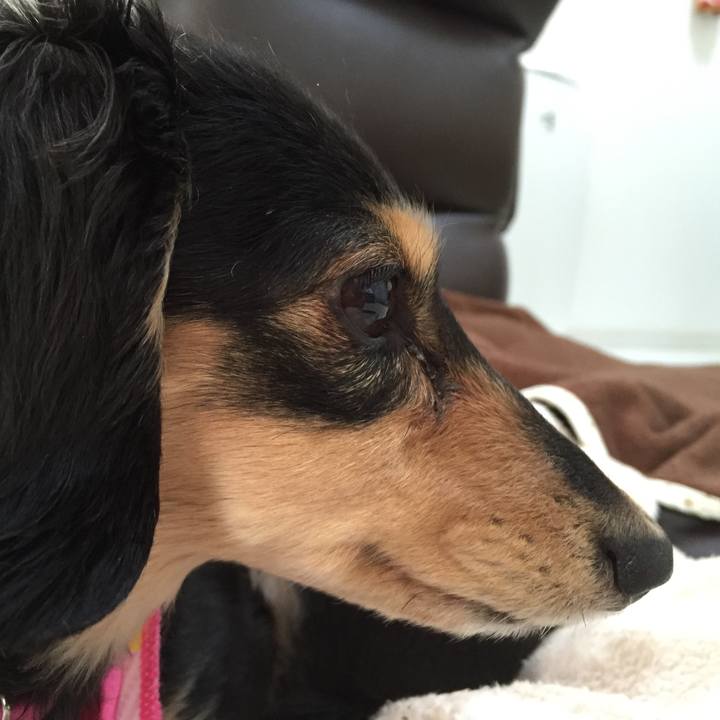 9e197f24 5b8f 4e48 bc0a 354348940d3e