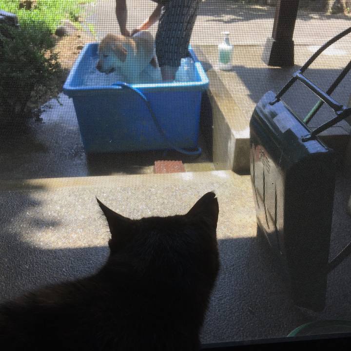 9e19d8b4 841b 4362 b8dc 46c6ec9e091c