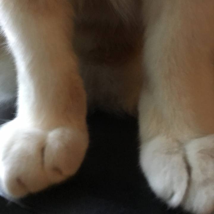 9e1ab936 d660 4bce 8b7f 52e5b2e429d6