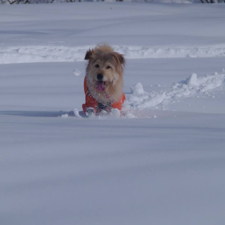 9e1b5fc9 a18c 4f23 ad0b 6f3ab13bbac9