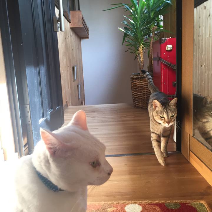 9e1ba7eb 9b64 498d 9bc6 a68ba8b92330