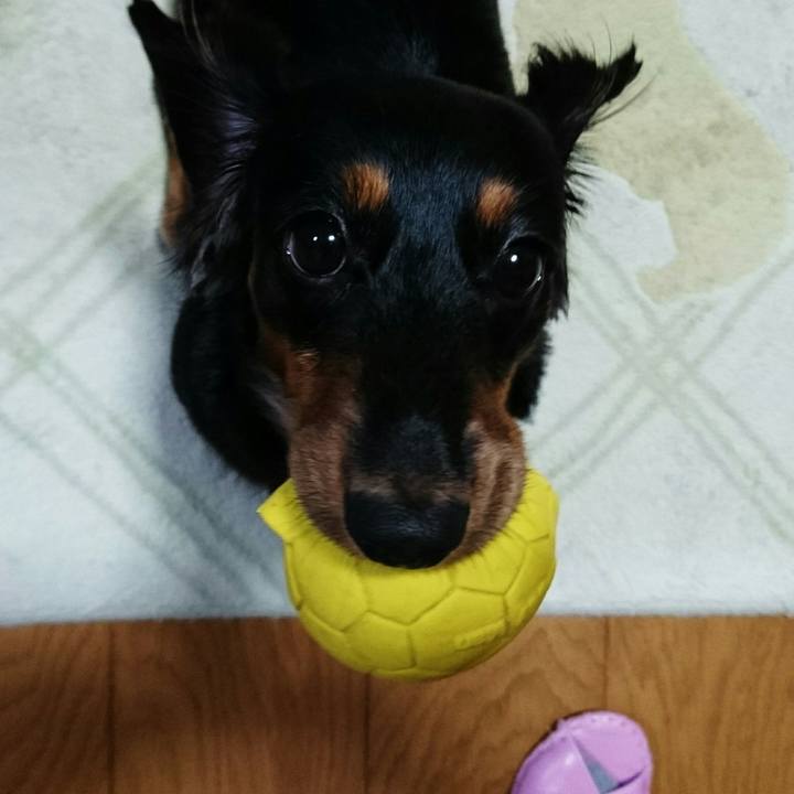 9e1c4c53 6ed3 41b0 bcc6 3aaac27f38ff