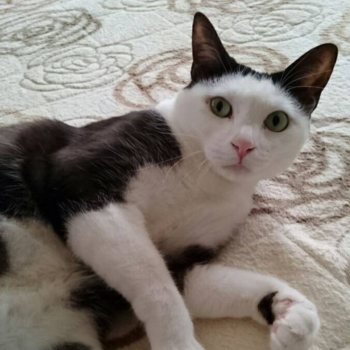 9e1c7a2b f1d6 4ab1 975a 1dd275219959