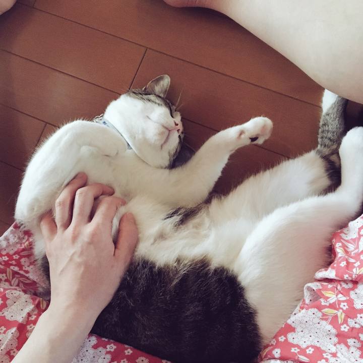 9e1c8bf6 0e62 41af 8560 bf8ab0516036