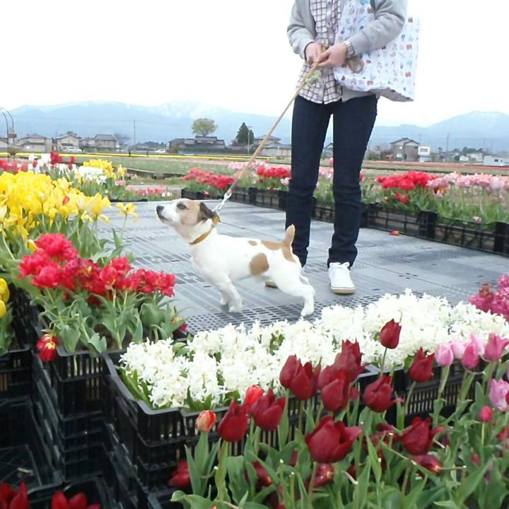 9e1cc3fe b02a 4c40 bc8e 12679c19c685