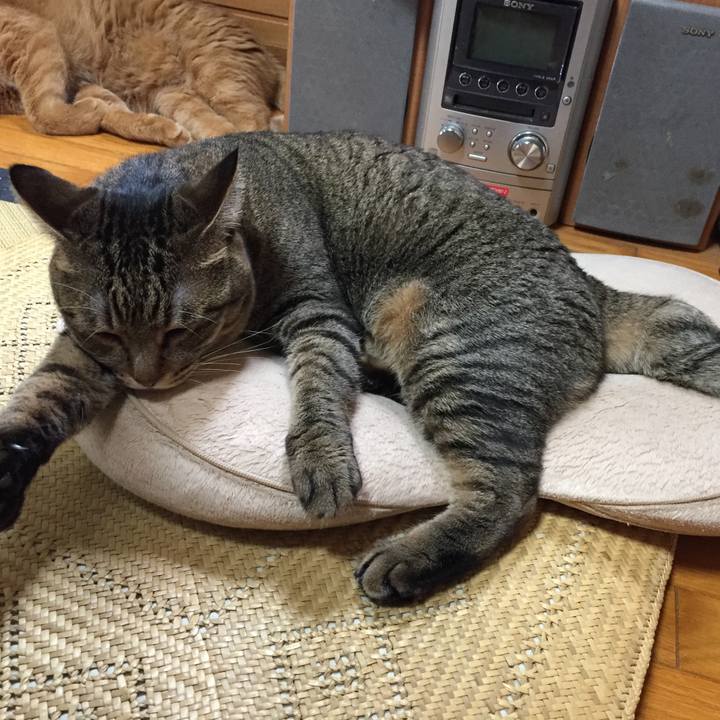 9e1d6672 d0d7 4138 8f44 e7111c73a998