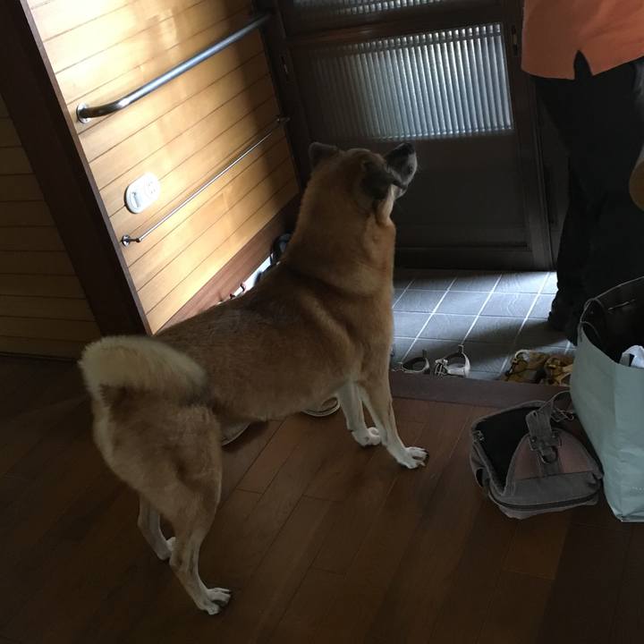 9e1f0e12 63c2 4b50 8707 8b292de34946