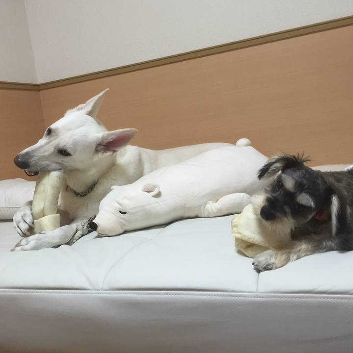 9e1f9cbb 80b3 48c8 8087 353e6652d51e