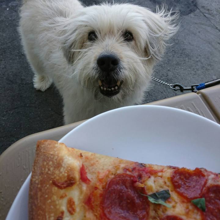 9e20120a 0aef 4d8a ab55 8a5a43d5bde7