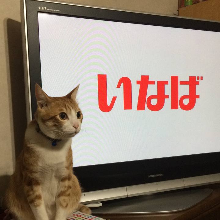 9e20cef8 9618 473a bd2c 97bed9e88ba5