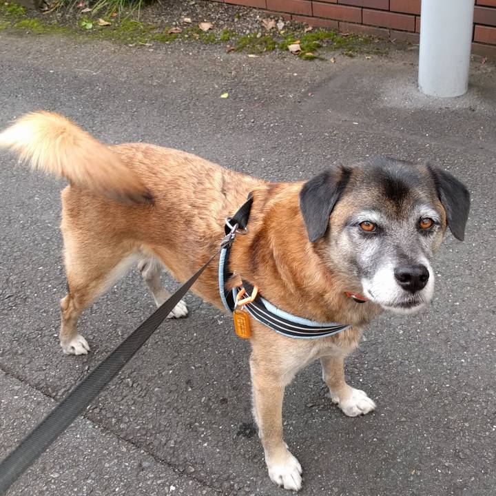 9e20eae3 b2b4 4473 b538 70860046534c