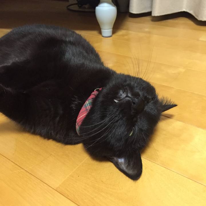 9e2139b0 4961 44ff 83a7 870e61921edf