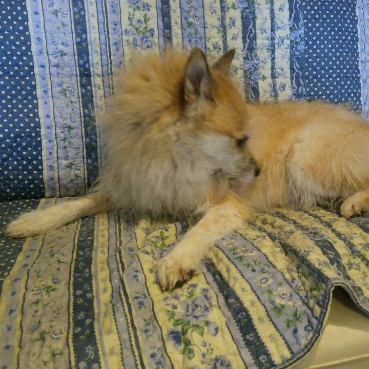 9e21c052 3c4e 4628 8836 dce8b31ab42a